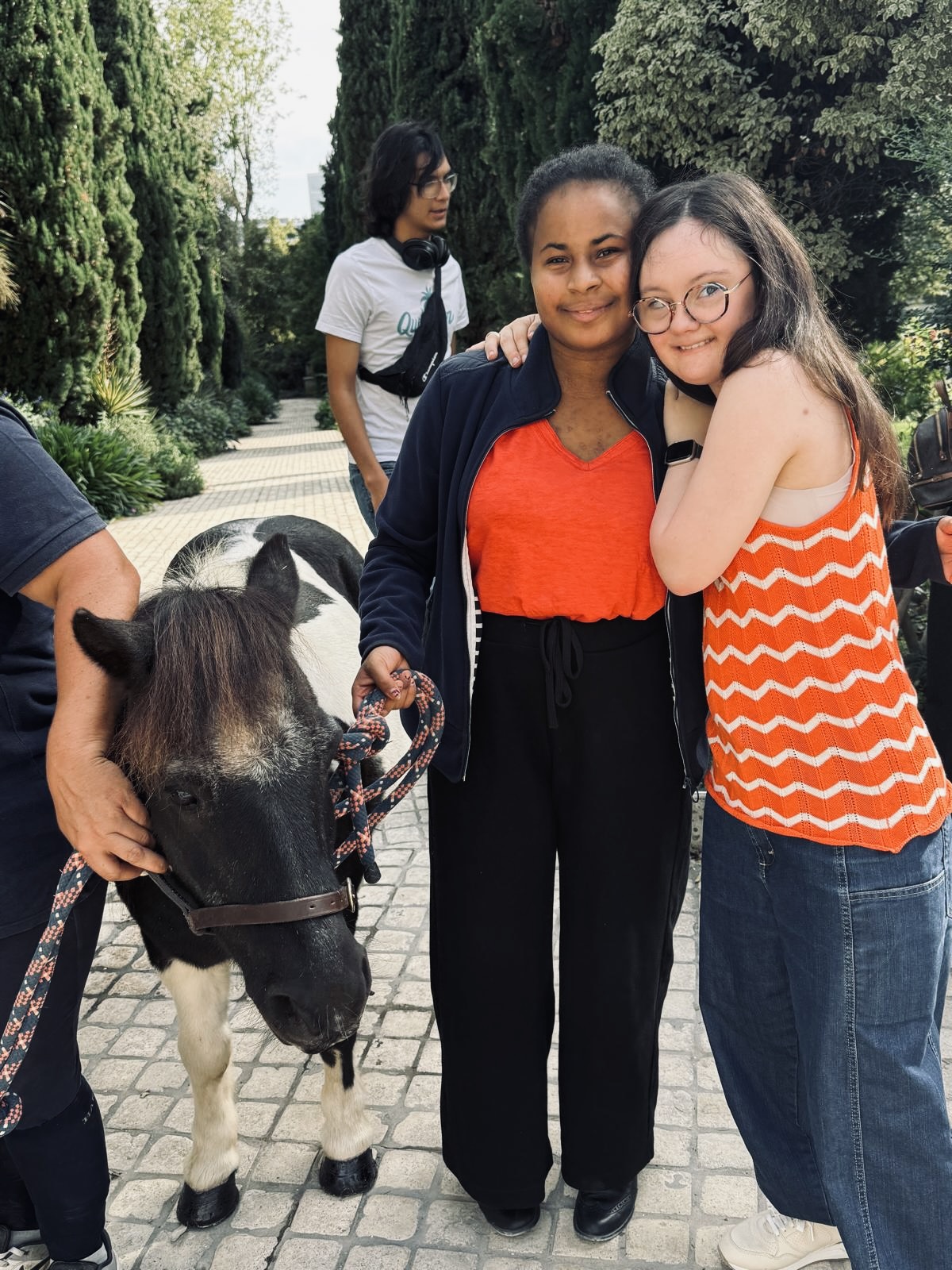 Rencontre avec un poney