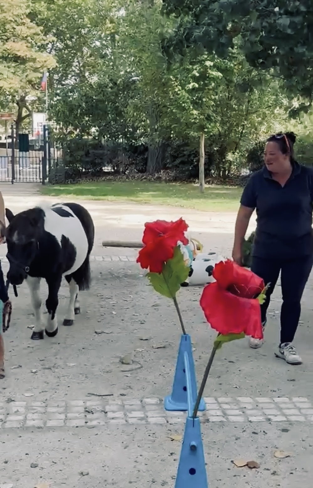 Parcours avec le poney